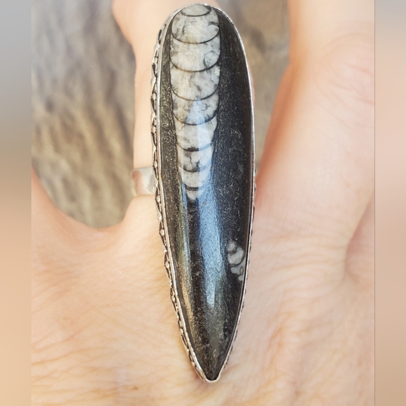 New Oversized Orthoceras Fossil 925 Silver Statement Ring. - Picture 15 of 16